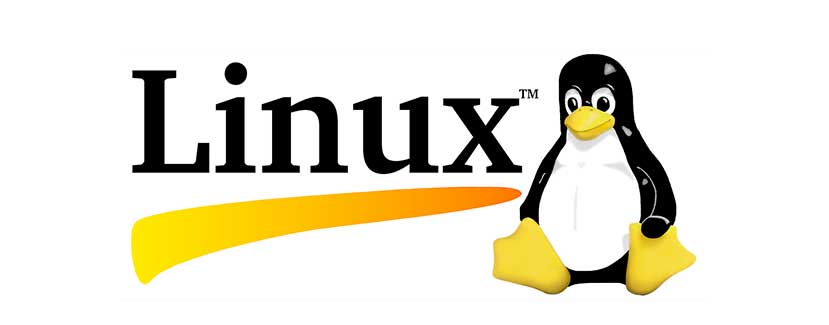 Linux, scoprire i DNS in uso da command line