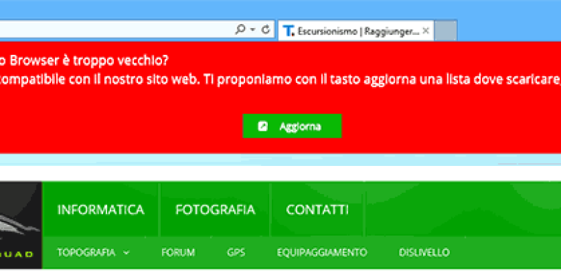 WordPress: intercettare vecchi IE