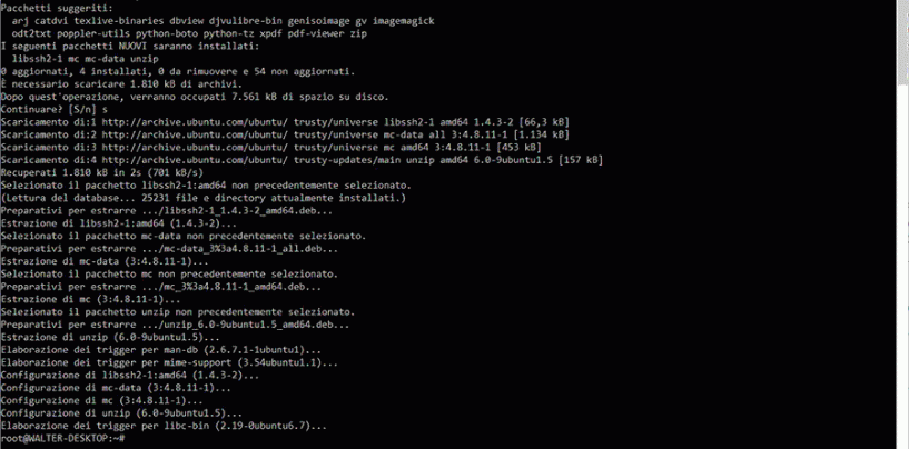 WSL: Linux dentro Windows 10