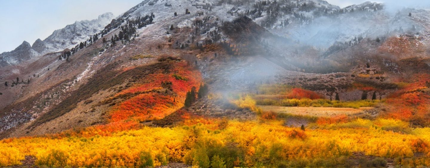 macOS: Time Machine su samba / cartelle condivise